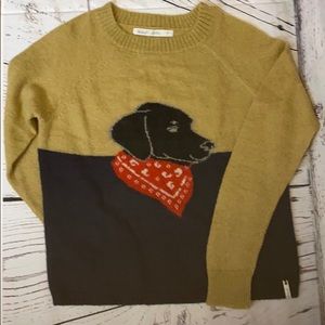 black lab sweater